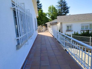 Terraza